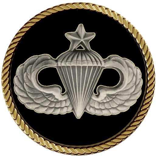Parachutist wings with star emblem.