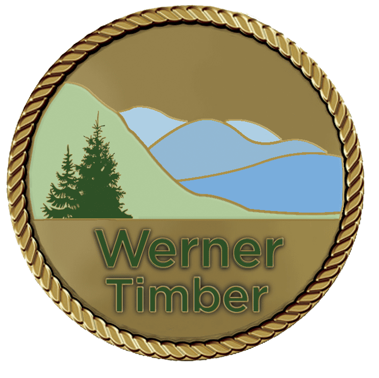 Werner Timbe